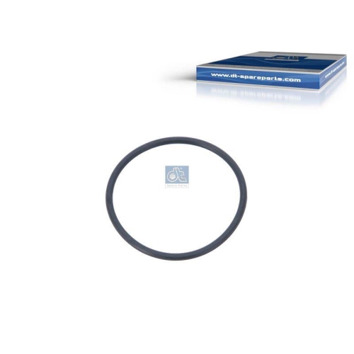 DT Spare Parts Dichtring 3.10173