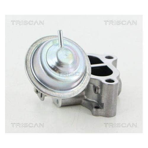 TRISCAN AGR-Ventil 8813 13065