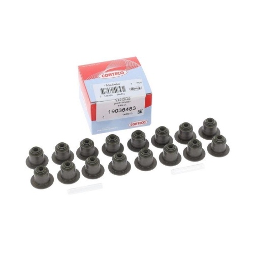 CORTECO Dichtungssatz, Ventilschaft 19036483