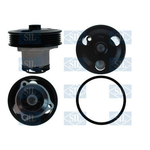 Saleri SIL Wasserpumpe, Motork&uuml;hlung PA1705
