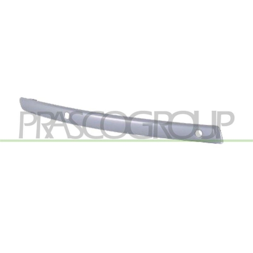 PRASCO Zier-/Schutzleiste, Sto&szlig;f&auml;nger Certified BM1211232