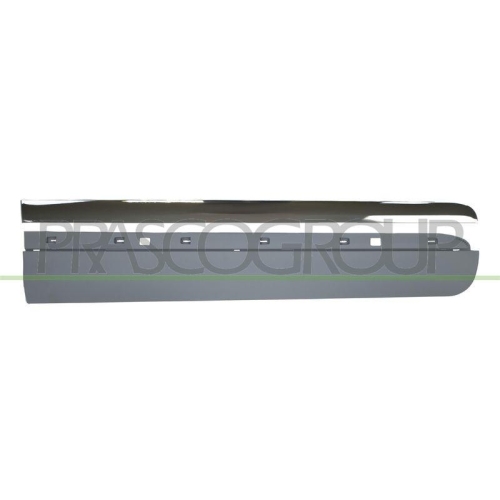 PRASCO Zier-/Schutzleiste, T&uuml;r FT0441403