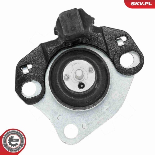 ESEN SKV Lagerung, Motor 75SKV019