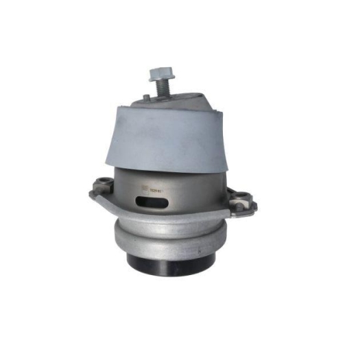REINHOCH Lagerung, Motor RH11-3147