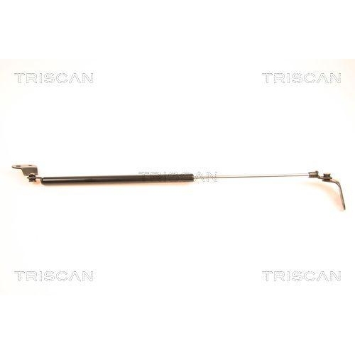 TRISCAN Gasfeder, Koffer-/Laderaum 8710 50229