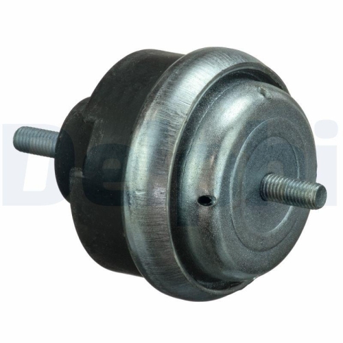 DELPHI Lagerung, Motor TEM066