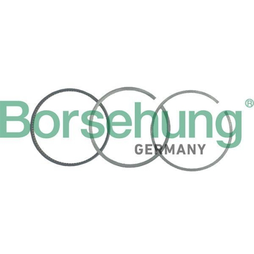 Borsehung Kolbenringsatz
