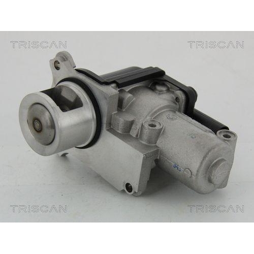 TRISCAN AGR-Ventil 8813 29002