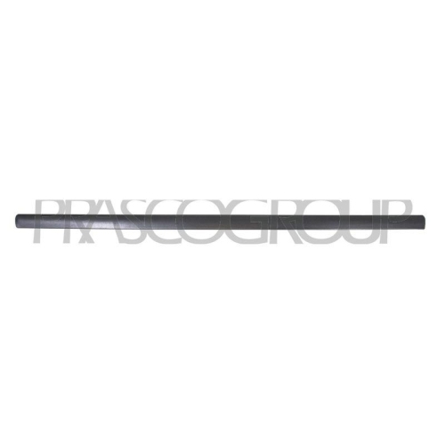 PRASCO Zier-/Schutzleiste, T&uuml;r VG0521414