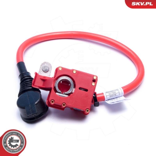 ESEN SKV Batterieadapter 96SKV311