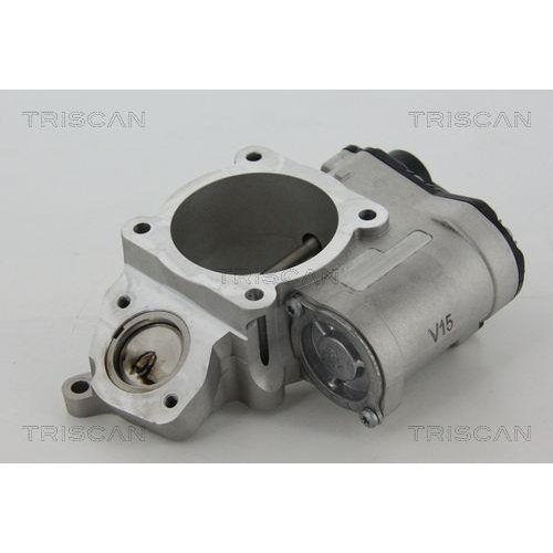 TRISCAN AGR-Ventil 8813 29028