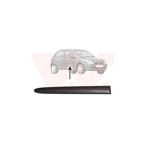 VAN WEZEL Zier-/Schutzleiste, Seitenwand 3776430