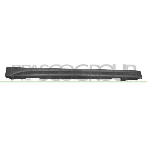 PRASCO Einstiegsleiste BM0291403