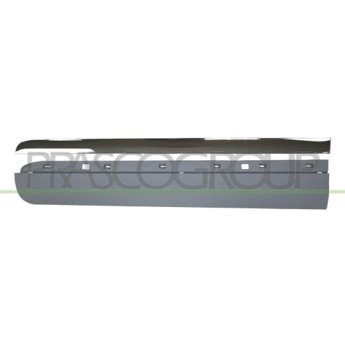 PRASCO Zier-/Schutzleiste, T&uuml;r FT0441404