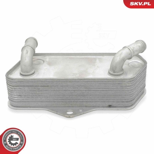 ESEN SKV &Ouml;lk&uuml;hler, Automatikgetriebe 31SKV317