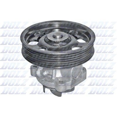 DOLZ Wasserpumpe, Motork&uuml;hlung