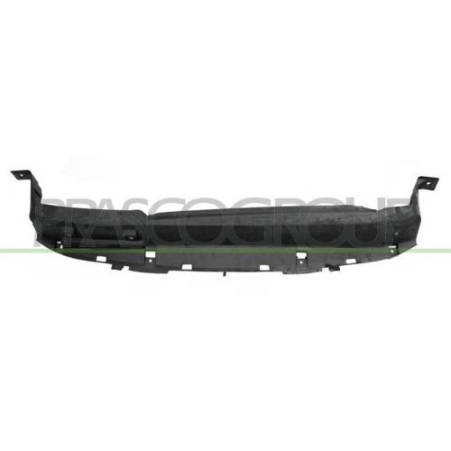 PRASCO Frontverkleidung DW3403206
