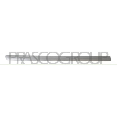 PRASCO Zier-/Schutzleiste, T&uuml;r VG0521463