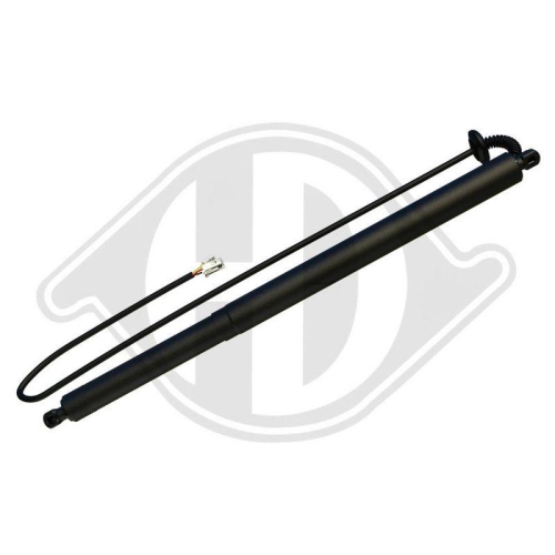 DIEDERICHS Elektromotor, Heckklappe 9100685