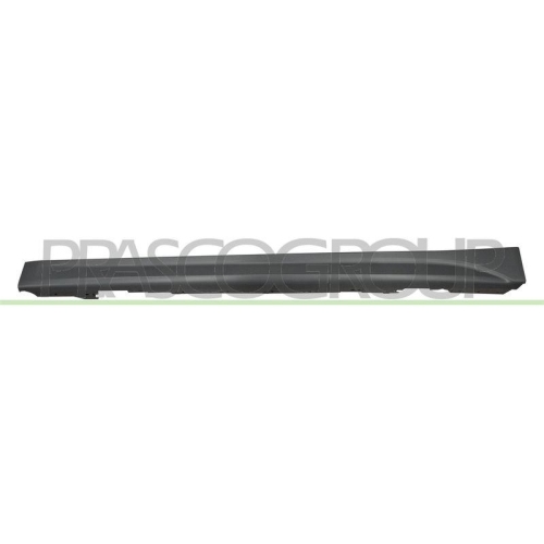PRASCO Einstiegsleiste BM0291404