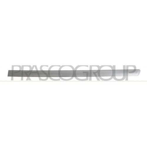 PRASCO Zier-/Schutzleiste, T&uuml;r VG0521464