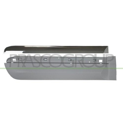 PRASCO Zier-/Schutzleiste, T&uuml;r FT0441453