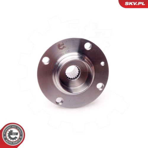 ESEN SKV Radlagersatz 29SKV116