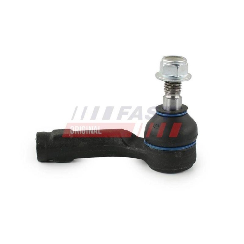 FAST Kugelgelenk, Achsstrebe FT16036