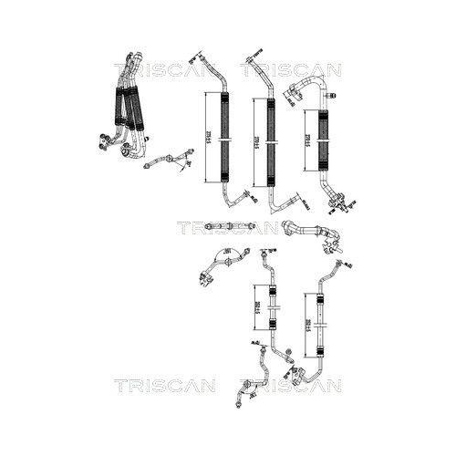 TRISCAN Hochdruck-/Niederdruckleitung, Klimaanlage 9010 81011