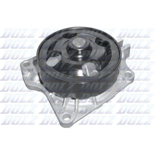 DOLZ Wasserpumpe, Motork&uuml;hlung