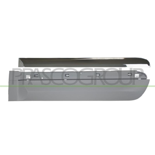 PRASCO Zier-/Schutzleiste, T&uuml;r FT0441454