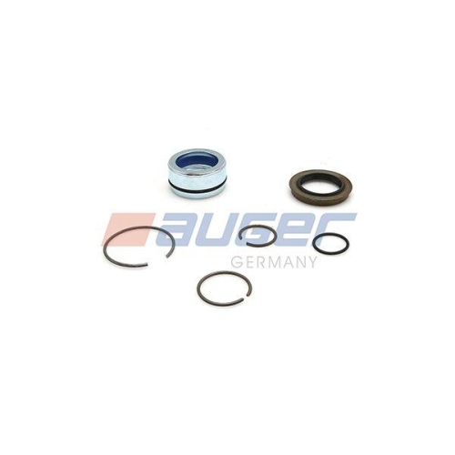 AUGER Reparatursatz, Kipppumpe 55501