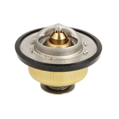 THERMOTEC Thermostat, K&uuml;hlmittel D2JD010TT