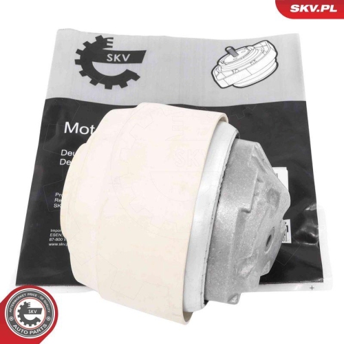 ESEN SKV Lagerung, Motor