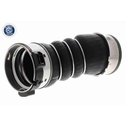 VAICO Ladeluftschlauch Q+, Erstausrüsterqualität V20-3656