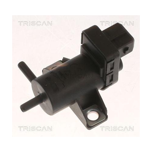 TRISCAN Druckwandler, Abgassteuerung