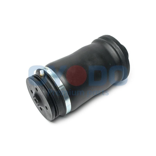 Oyodo Luftfeder, Fahrwerk