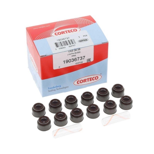 CORTECO Dichtungssatz, Ventilschaft 19036737