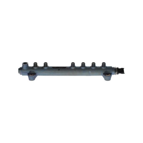 BOSCH Verteilerrohr, Kraftstoff 0 445 224 071