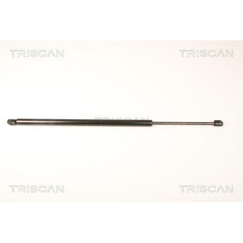 TRISCAN Gasfeder, Koffer-/Laderaum 8710 80205