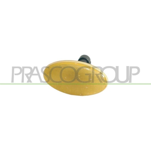 PRASCO Blinkleuchte FT1134039