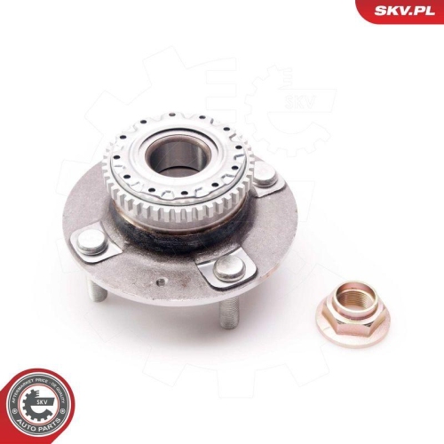 ESEN SKV Radlagersatz 29SKV119