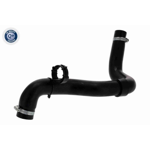 VAICO K&uuml;hlerschlauch Q+, Erstausr&uuml;sterqualit&auml;t V21-0044