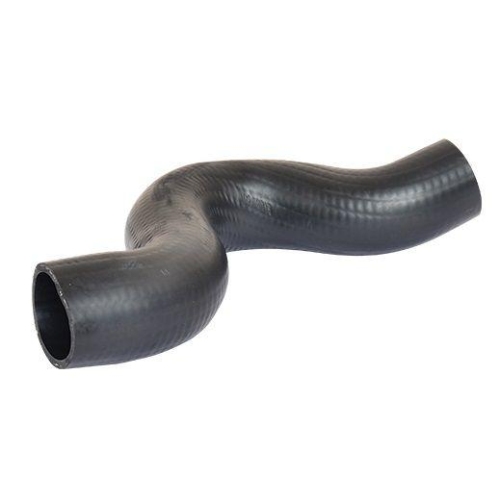 BUGIAD Ladeluftschlauch 88726