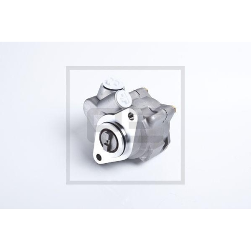 PE Automotive Hydraulikpumpe, Lenkung 032.502-00A