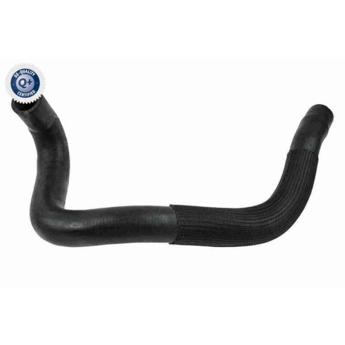 VAICO K&uuml;hlerschlauch Q+, Erstausr&uuml;sterqualit&auml;t V22-0731