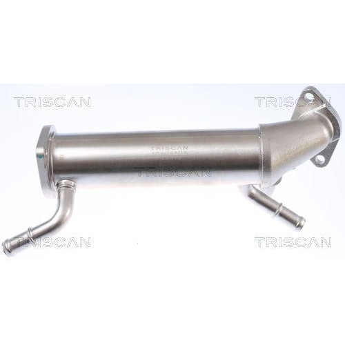 TRISCAN K&uuml;hler, Abgasr&uuml;ckf&uuml;hrung