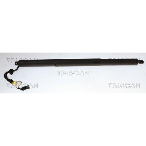 TRISCAN Gasfeder, Koffer-/Laderaum 8710 11370