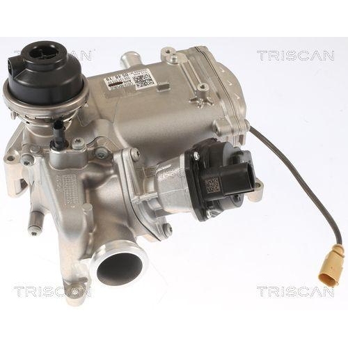 TRISCAN AGR-Ventil 8813 29013