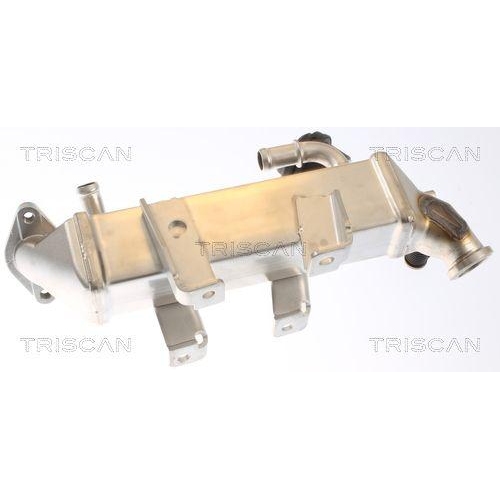 TRISCAN K&uuml;hler, Abgasr&uuml;ckf&uuml;hrung